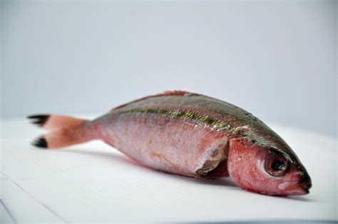 dalagang bukid fish|Dalagang Bukid: The Mountain Maiden of the Seas .